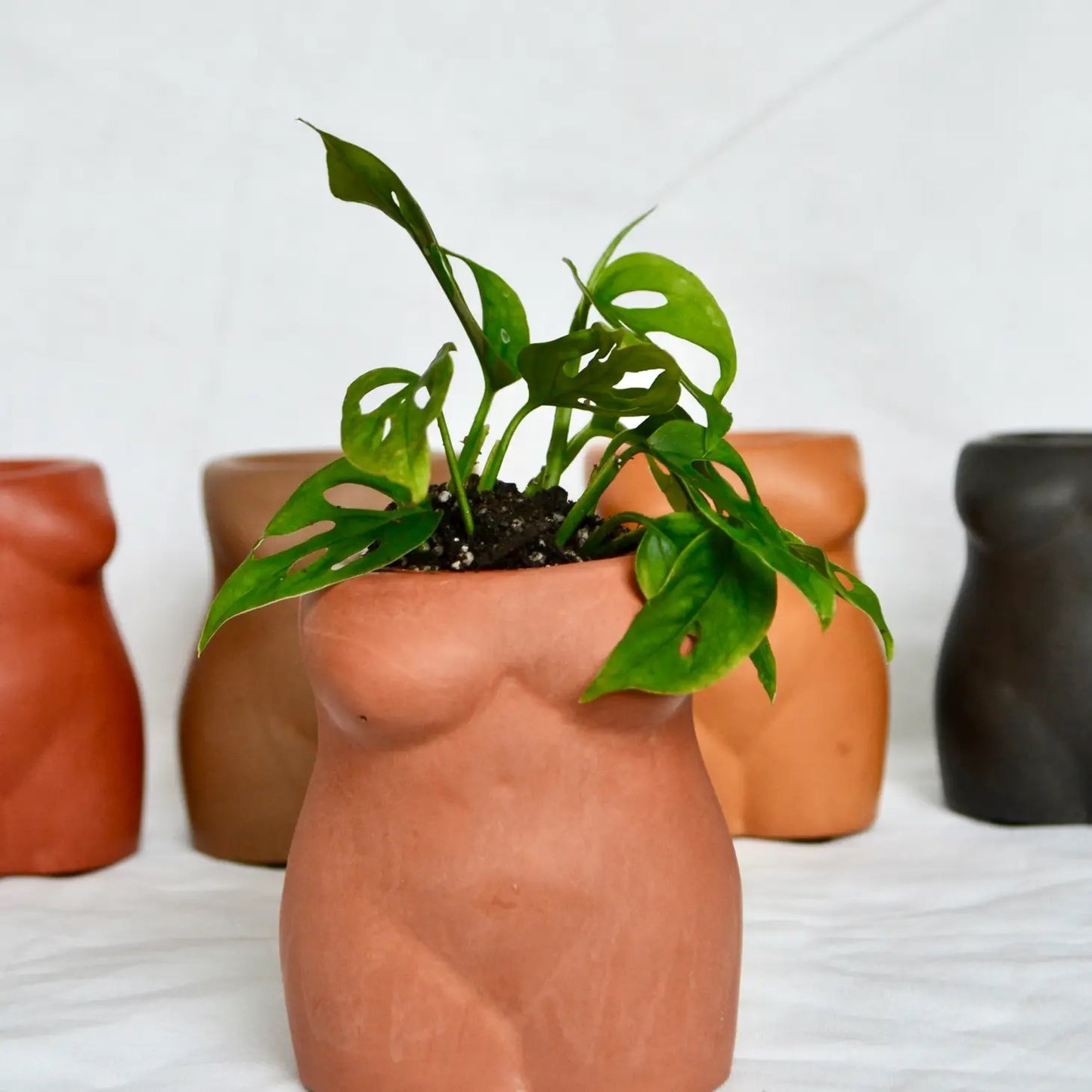 Solid Color Female Body Vase / Planter
