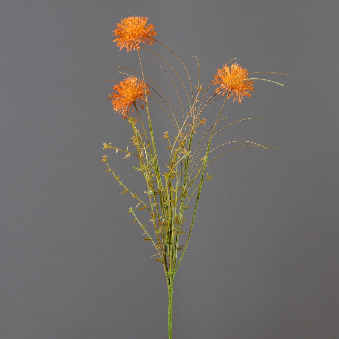 Branch - Rust Allium (PK/2)