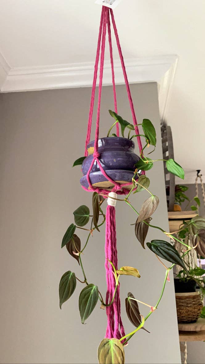 Simple Macrame Plant Hanger: Mink