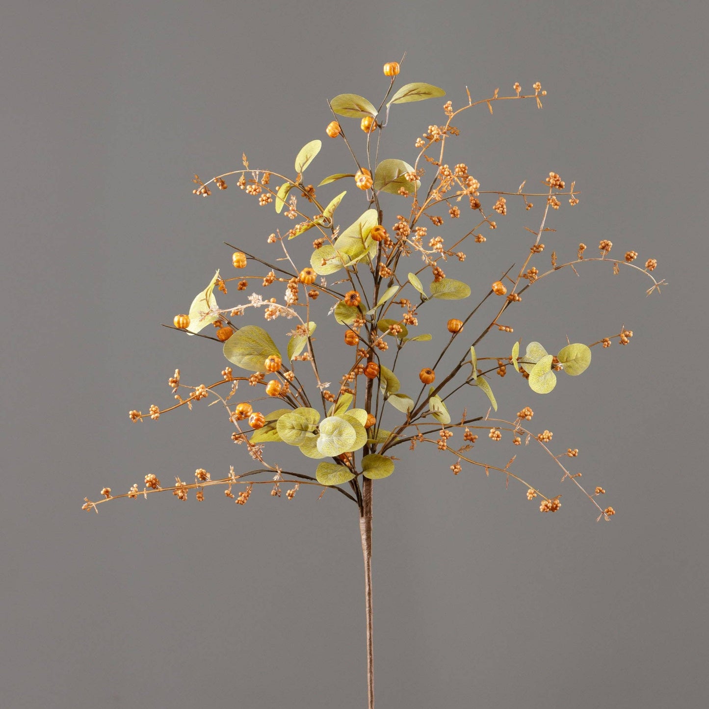 Branch - Mini Pumpkins, Eucalyptus, Berry Clusters (PC)